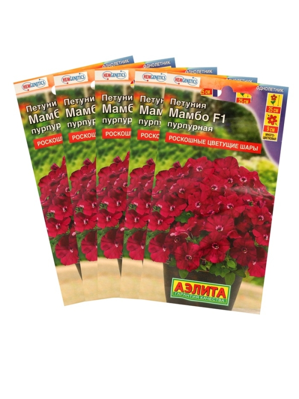 Семена Петуния Мамбо F1 пурпурная многоцветковая, набор 5 шт Семена Петуния Мамбо F1 пурпурная многоцветковая, набор 5 шт