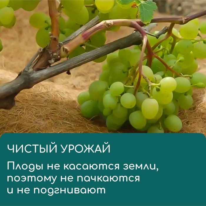 Круг приствольный, d = 0,2 м, из кокосового полотна, Greengo Круг приствольный, d = 0,2 м, из кокосового полотна, Greengo