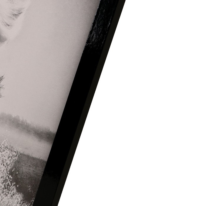 Картина  Картина "Пара лошадей" 56х76см рамка МИКС