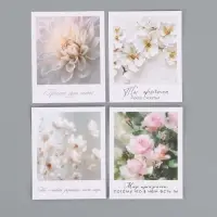 Набор мини-открыток &laquo;Красота&raquo;, 35 штук, 8 x 9,5 см