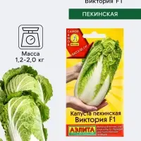 Семена Капуста пекинская &laquo;Виктория&raquo;, F1, &laquo;Самое самое - Агрофирма АЭЛИТА&raquo;, 0.2 г