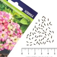 Семена цветов Петуния &laquo;Шейк&raquo; строберри, F1, 5 шт., Hem Genetics, &laquo;АЭЛИТА&raquo;