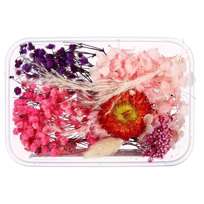 Набор для творчества «Набор сухоцветов», большой, розовый, красный, фиолетовый Набор для творчества «Набор сухоцветов», большой, розовый, красный, фиолетовый