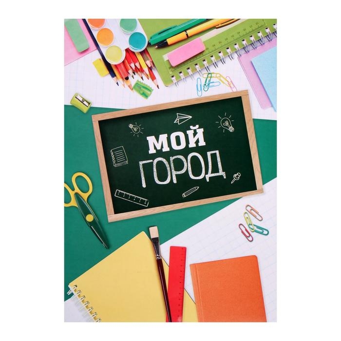 Папка школьная на кольцах «Портфолио школьника», 10 листов-разделителей, 24,5 х 32 см.
