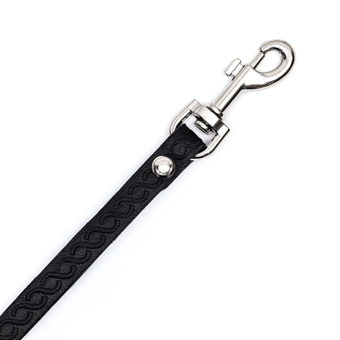 Поводок кожаный однослойный длинный, 1.9 м х 1 см, микс Поводок кожаный однослойный длинный, 1.9 м х 1 см, микс