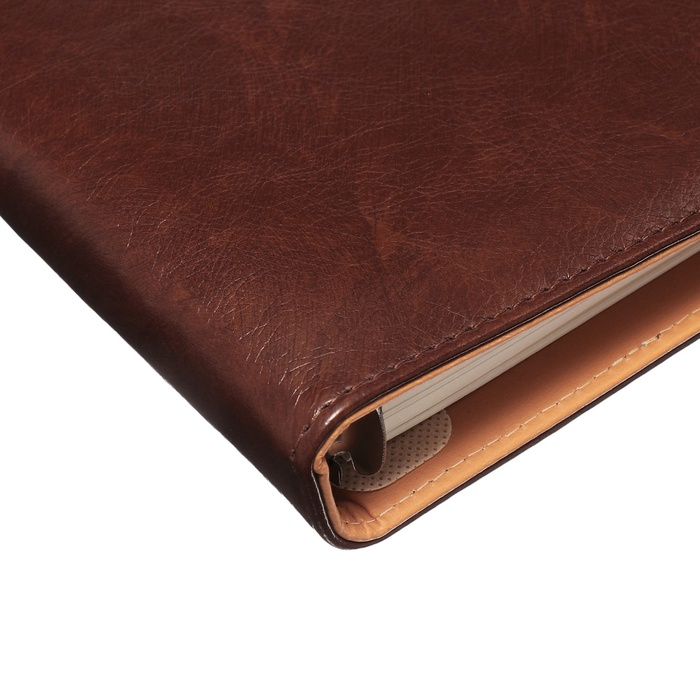 Органайзер на кольцах А5, 90 листов в линейку, с хлястиком, МИКС Органайзер на кольцах А5, 90 листов в линейку, с хлястиком, МИКС