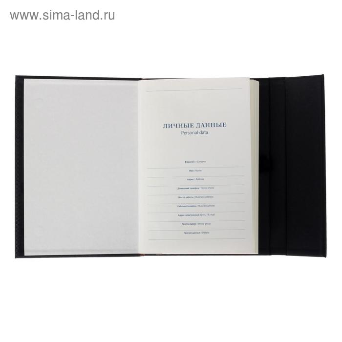 Ежедневник недатированный А5, 120 листов в клетку, тонированный срез, с хлястиком, обложка пвх, МИКС