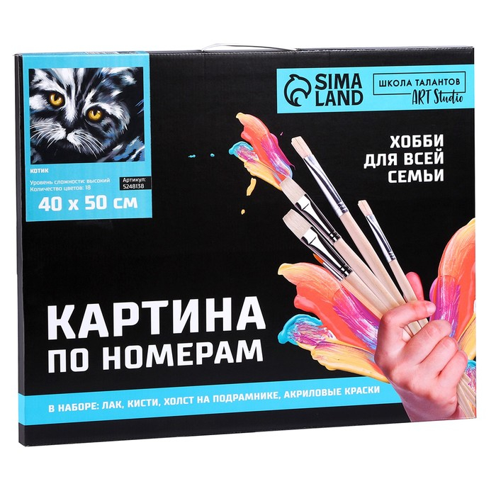 Картина по номерам на холсте с подрамником «Котик», 40 х 50 см