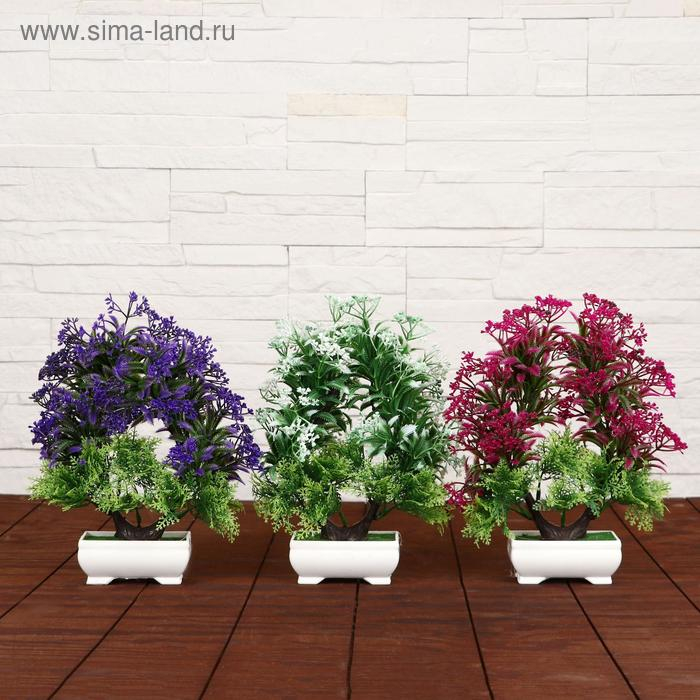 Бонсай в горшке Бонсай в горшке "Остролист мелкие ягодки" 23х24 см, микс