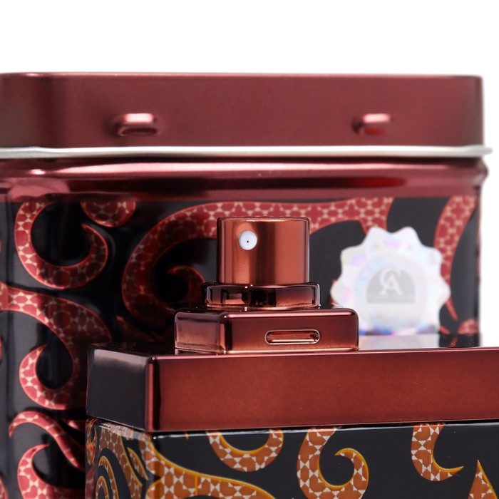 Туалетная вода мужская Chris Adams Rebellion, 100 мл Туалетная вода мужская Chris Adams Rebellion, 100 мл