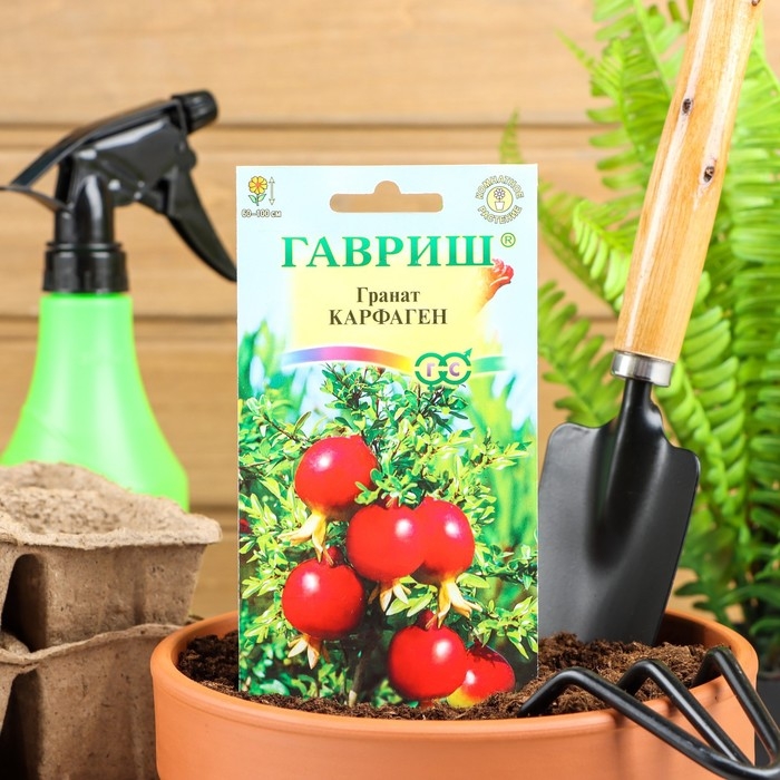 Семена комнатных цветов Гранат Семена комнатных цветов Гранат "Карфаген", 5 шт.