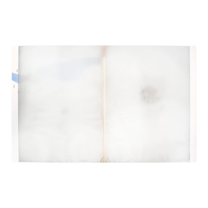 Папка формат А4, с 60 прозрачными файлами, Река МИКС Река Папка формат А4, с 60 прозрачными файлами, Река МИКС Река