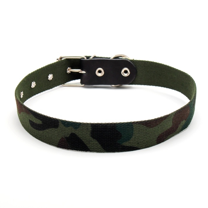Ошейник брезентовый однослойный Ошейник брезентовый однослойный "Камуфляж", 72 х 3,5 см, ОШ 45-60 см