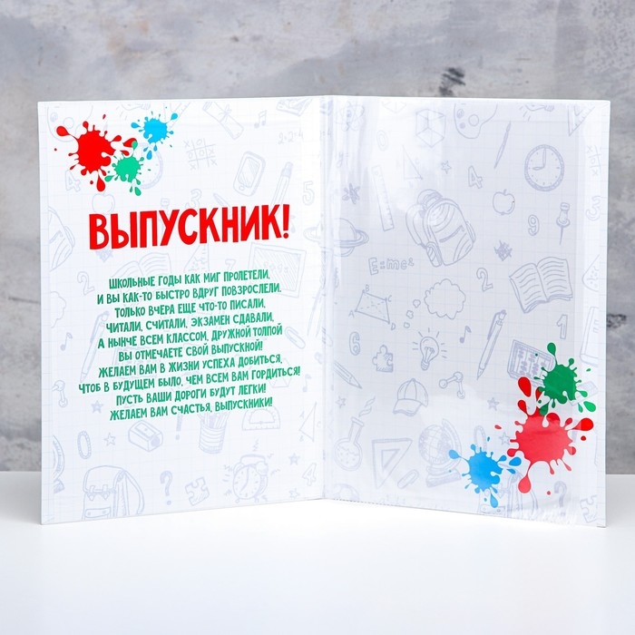 Папка с двумя файлами А4 Папка с двумя файлами А4 "Диплом выпускника" кляксы и канцелярия