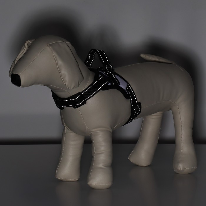 Шлейка К7 мягкая светоотражающая, размер XS, ОГ 34-44 см, вес 2,5-5 кг, хаки Шлейка К7 мягкая светоотражающая, размер XS, ОГ 34-44 см, вес 2,5-5 кг, хаки