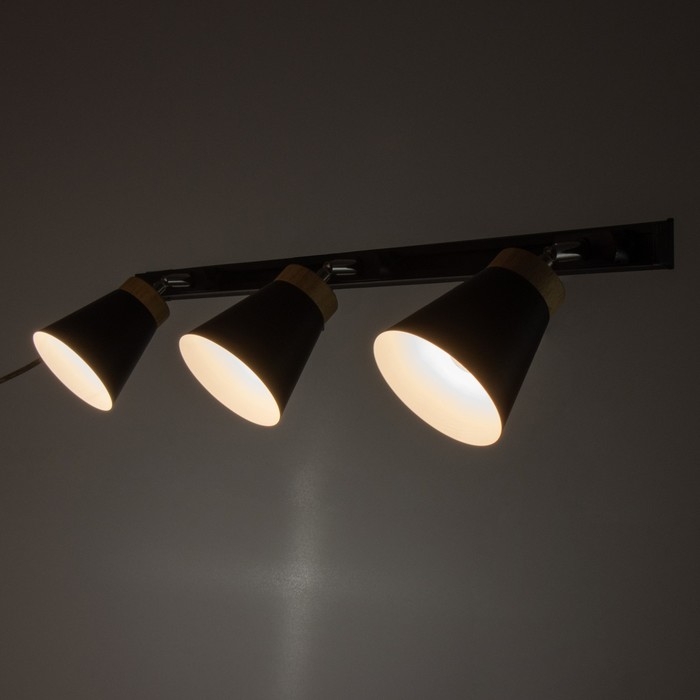 Спот Спот "Риген" 3хЕ27 40Вт черный 100х17х12 см
