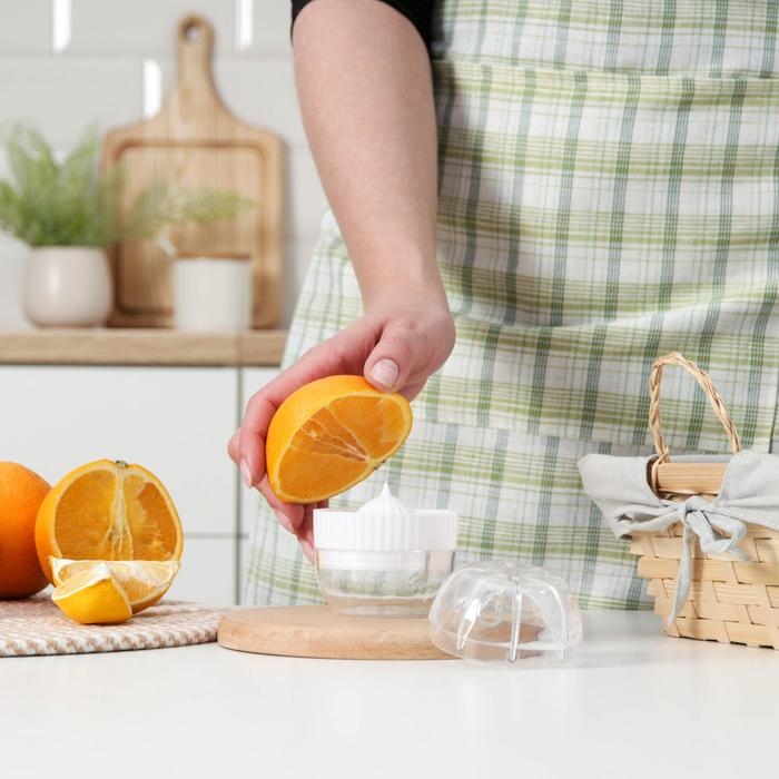 Соковыжималка для цитрусовых с лотком и крышкой Доляна, d=7,5 см, 7×7×8 см, цвет МИКС Соковыжималка для цитрусовых с лотком и крышкой Доляна, d=7,5 см, 7×7×8 см, цвет МИКС