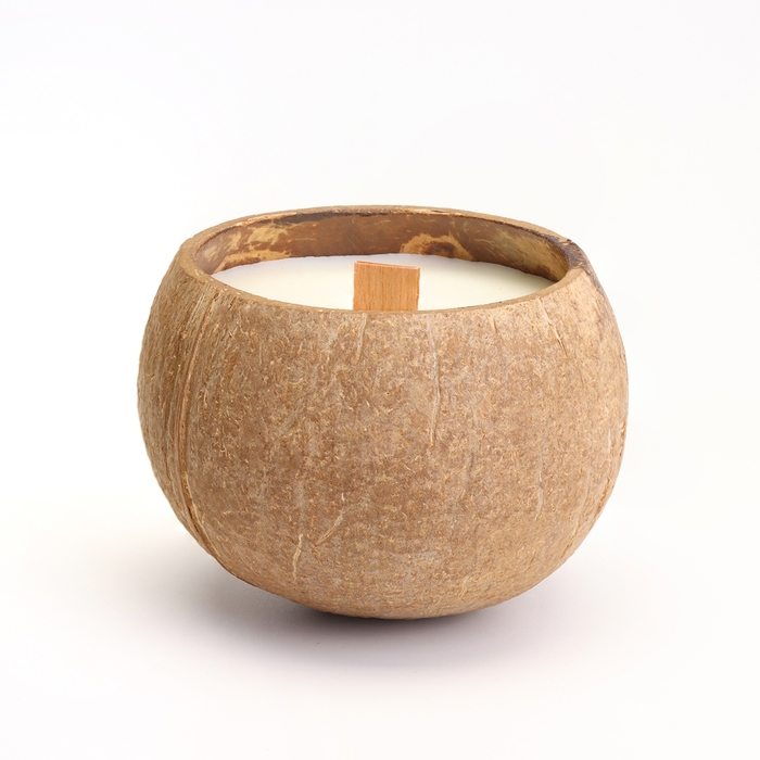 Свеча в кокосе ароматическая, мандарин и ваниль, соевый воск, 8х10 см, в коробке Свеча в кокосе ароматическая, мандарин и ваниль, соевый воск, 8х10 см, в коробке