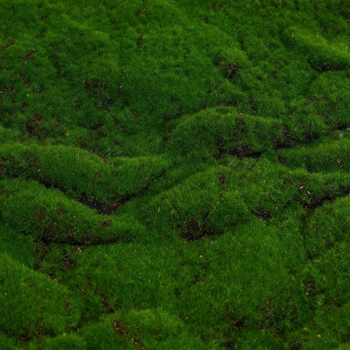 Мох искусственный, декоративный, полотно 1 × 1 м, рельефный, горный, зелёный, Greengo Мох искусственный, декоративный, полотно 1 × 1 м, рельефный, горный, зелёный, Greengo