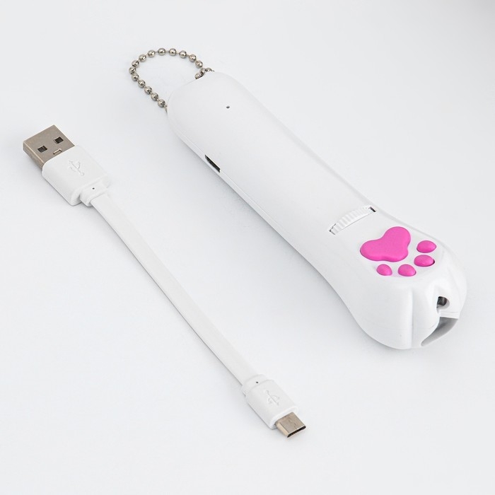 Лазерная указка для кошек, 5 картинок, 100 мАч, дальность до 8 м, красный луч, USB Лазерная указка для кошек, 5 картинок, 100 мАч, дальность до 8 м, красный луч, USB