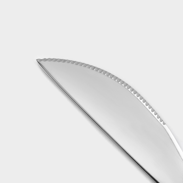 Столовые приборы из нержавеющей стали Magistro «Блинк», 4 предмета, цвет серебряный Столовые приборы из нержавеющей стали Magistro «Блинк», 4 предмета, цвет серебряный