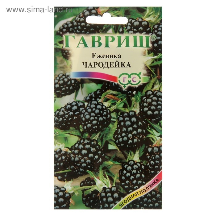 Семена Ежевика  Семена Ежевика "Чародейка", 10 шт