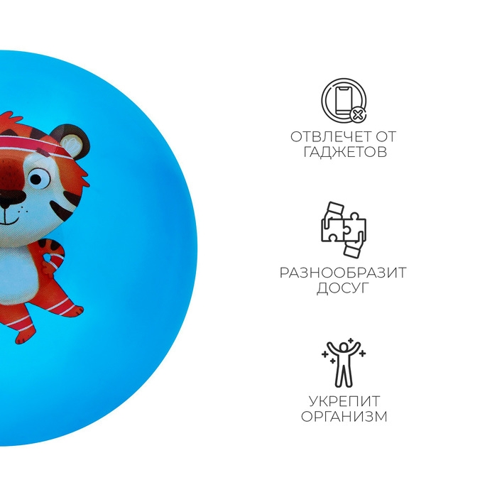 Мяч детский ZABIAKA, d=22 см, цвет МИКС Мяч детский ZABIAKA, d=22 см, цвет МИКС