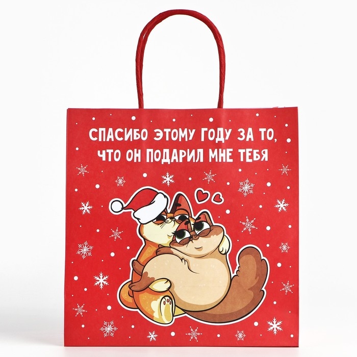 Пакет подарочный новогодний «Спасибо этому году», 22 х 22 х 11 см Пакет подарочный новогодний «Спасибо этому году», 22 х 22 х 11 см