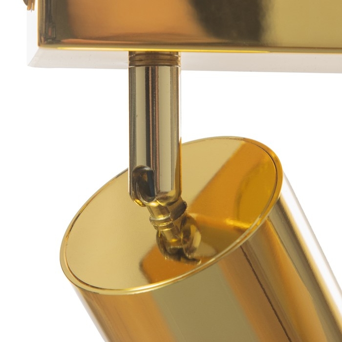 Спот Спот "Этнес" 2хGU10 золото 29,5х6,5х16,5 см