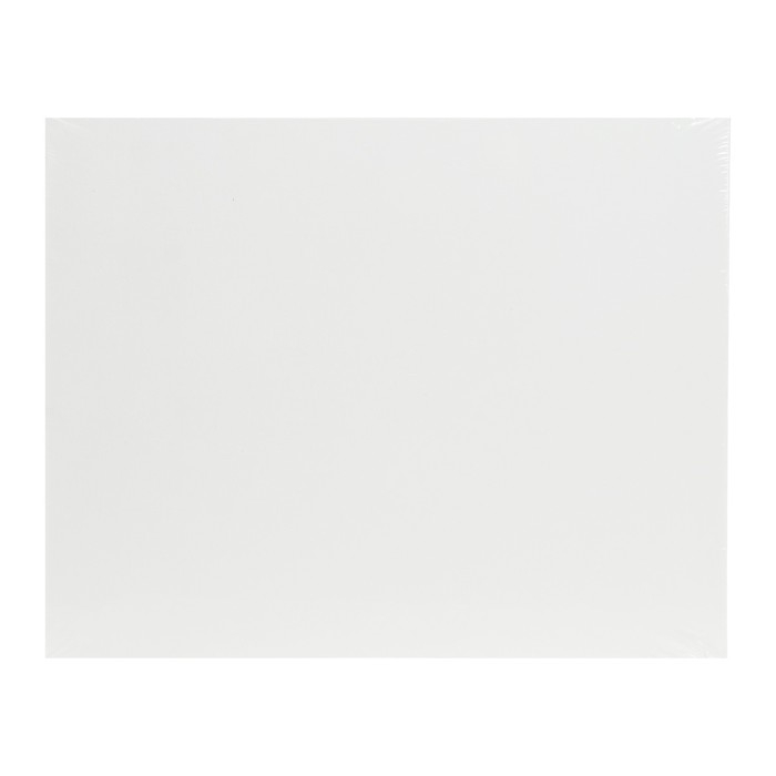 Холст на картоне 35 х 45 см, хлопок 100%, акриловый грунт, мелкозернистый, ЗХК Холст на картоне 35 х 45 см, хлопок 100%, акриловый грунт, мелкозернистый, ЗХК "Сонет", DK13701-35х45