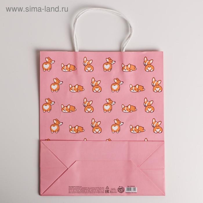 Пакет подарочный крафтовый, упаковка, I love you, 26 х 30 х 11,5 см Пакет подарочный крафтовый, упаковка, I love you, 26 х 30 х 11,5 см