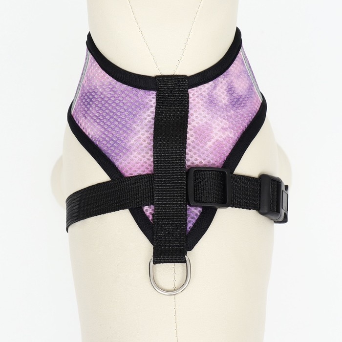 Комплект для собак 3-5 кг, размер S, поводок 120 х 1,5 см, ОШ 24 см, ОГ 34 см Комплект для собак 3-5 кг, размер S, поводок 120 х 1,5 см, ОШ 24 см, ОГ 34 см