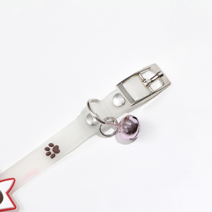 Ошейник Ошейник "Бантик", 28 х 1 см, ОШ 18-24 см, прозрачный/коричневый