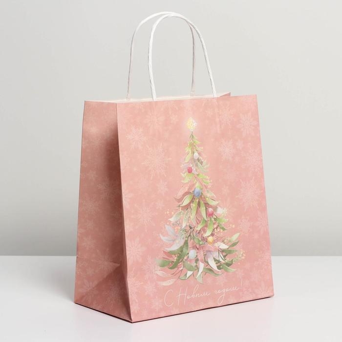 Пакет подарочный новогодний крафтовый «Новогодние сны», 22 х 25 х 12 см, Новый год Пакет подарочный новогодний крафтовый «Новогодние сны», 22 х 25 х 12 см, Новый год