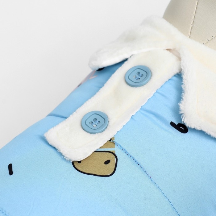 Комбинезон Комбинезон "Метель", размер L (ДС 35 см, ОГ 45, ОШ 30 см), голубой