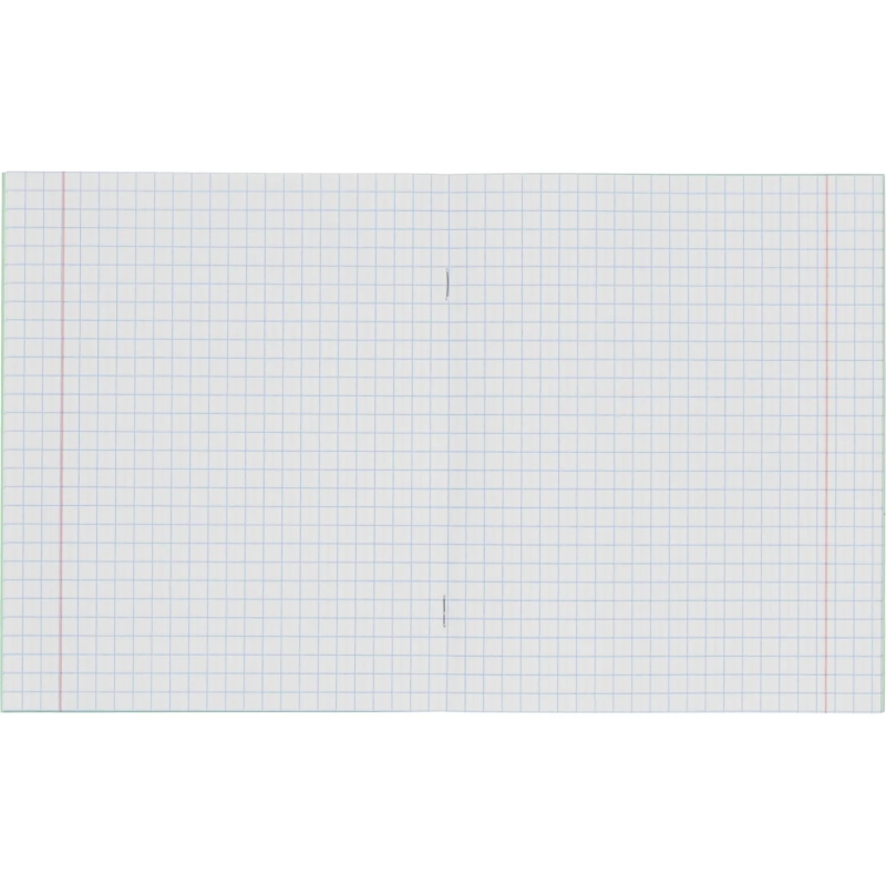 Тетрадь школьная А5 12л ГОЗНАК крупная клетка 60г/м2 зеленая  бел96% уп20шт