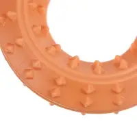 VETTA Игрушка для домашних животных, ТПР, 15х6,5 см