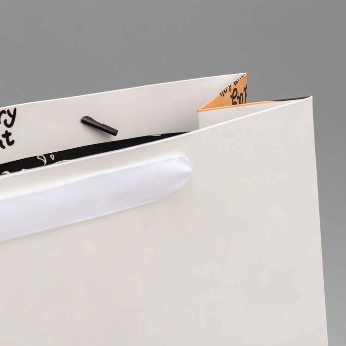 Пакет подарочный ламинированный двухсторонний, упаковка, «Что-то очень крутое», L 40 х 31 х 11,5 см Пакет подарочный ламинированный двухсторонний, упаковка, «Что-то очень крутое», L 40 х 31 х 11,5 см