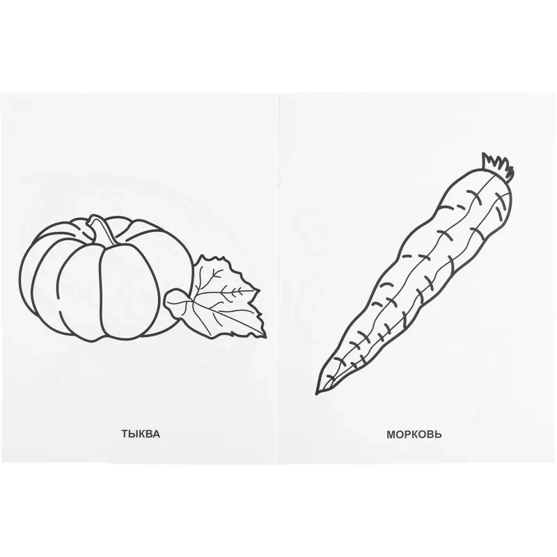 Раскраска Фрукты и овощи.215х290мм. Объем: 16 стр. Умка , 978-5-506-00827-9