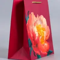 Пакет подарочный ламинированный &laquo;Пион&raquo;, бордовый, 18&times;22.3&times;10 см