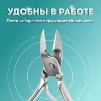 Кусачки педикюрные, прямое лезвие, 9.5 см, длина лезвия-10 мм
