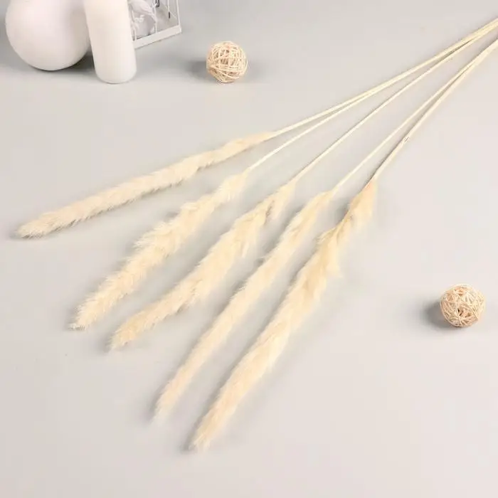 Декор сухоцвет &laquo;Кортадерия&raquo;, h=65 см, фасовка 5 шт., цена за 1 шт., белый