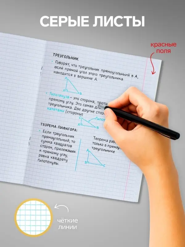 Комплект тетрадей из 10 штук, 18 листов в клетку Calligrata "Однотонная Классика точку. Эконом", обложка мелованный картон, ВД-лак, блок №2, белизна 75% (серые листы), 5 видов по 2 штуки