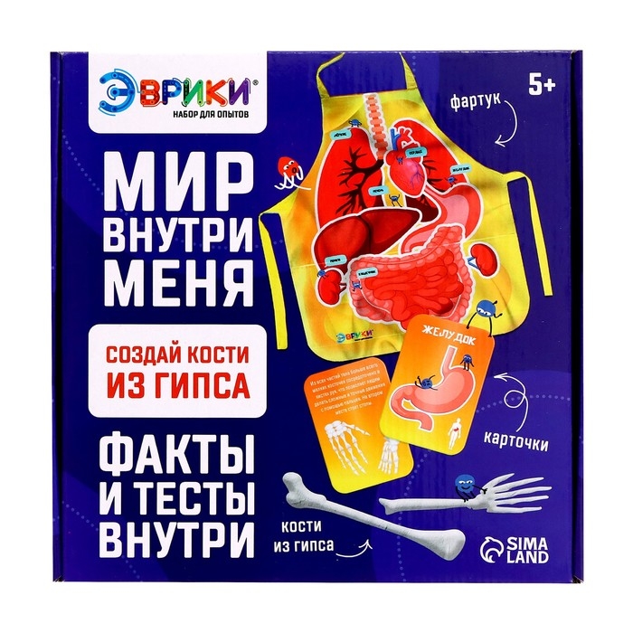 Набор для опытов «Мир внутри меня» Набор для опытов «Мир внутри меня»