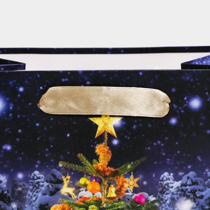 Пакет подарочный, ламинированный, «Ёлочка»,18×23×10 см Пакет подарочный, ламинированный, «Ёлочка»,18×23×10 см