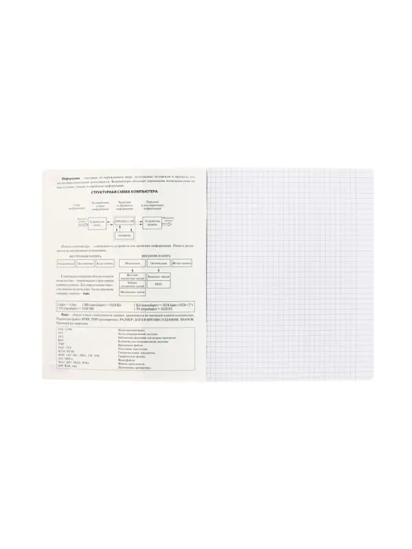 Предметная тетрадь по информатике Hatber &laquo;Буквица&raquo;, 48 листов, в клетку, со справочным материалом, обложка из мелованного картона