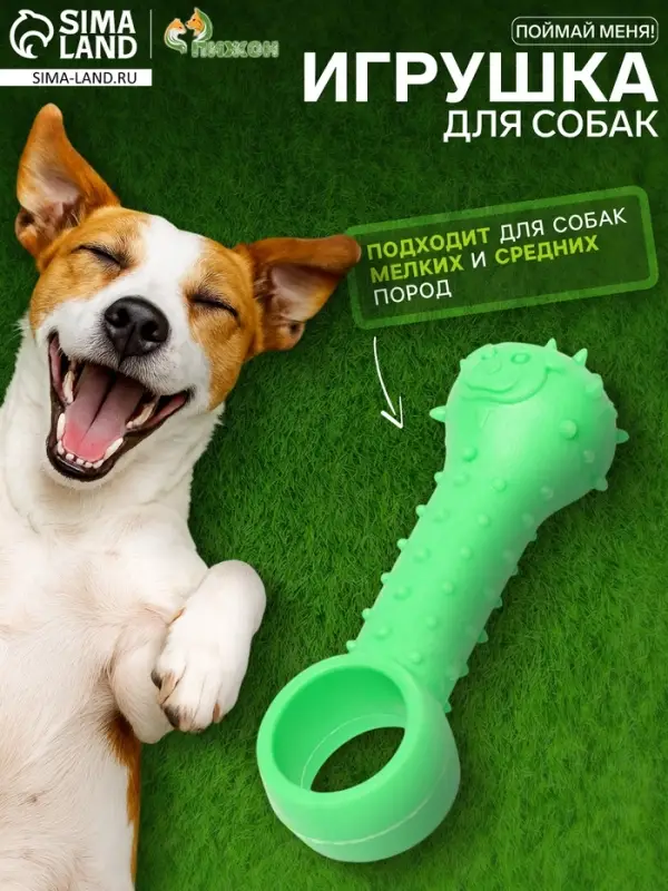 Игрушка-дразнилка для собак &laquo;Поймай меня!&raquo;, 9.5 см, TPR, зелёная