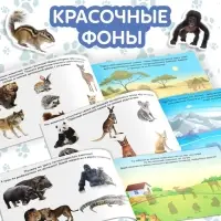 Книга с наклейками &laquo;Маленькие зверята&raquo;, 100 наклеек