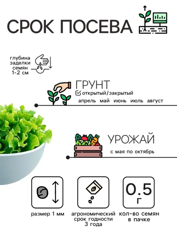 Семена Салат  Семена Салат "Кучерявец Одесский", 0,5 г