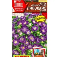 Семена цветов Астра Пиноккио синяя Цветущий балкон, Ц/П,0,05 г Семена цветов Астра Пиноккио синяя Цветущий балкон, Ц/П,0,05 г